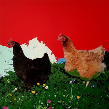 Bavarian Chicken, Fotografie, 100x100 cm, 2020 Zwei Hühner auf grüner Wiese vor rotem Hintergrund.